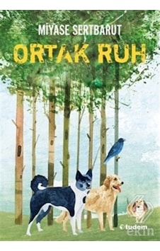 Sisin Sakladıkları - 2 Ortak Ruh - Miyase Sertbarut - Tudem Yayınları Sisin Sakladıkları - 2 Ortak Ruh - Miyase Sertbarut - Tudem Yayınları
