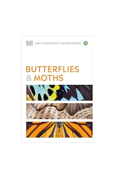 Butterflies And Moths Butterflies And Moths