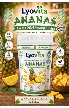 Ananas Dondurularak Kurutulmuş Freeze Dried 20 G Ananas Dondurularak Kurutulmuş Freeze Dried 20 G
