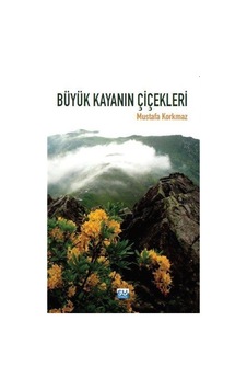Büyük Kayanın Çiçekleri - Mustafa Korkmaz - Su Yayınları