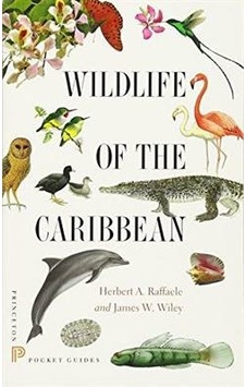 Wildlife Of The Caribbian 9780691153827 Wildlife Of The Caribbian 9780691153827