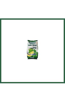 Bezos Poli Nane Limon 450 Gr Bzs01