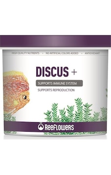 Reeflowers Discus + 150 Ml - 81  Gr