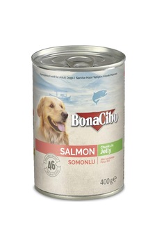 Jöleli Somonlu Yaş Yetişkin Köpek Maması 400 Gr Jöleli Somonlu Yaş Yetişkin Köpek Maması 400 Gr