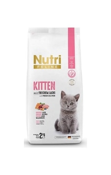 Nutri Feline Frıschem Lachs Kıtten 2kg Somonlu Yavru Kedi Maması Nutri Feline Frıschem Lachs Kıtten 2kg Somonlu Yavru Kedi Maması