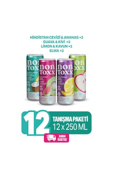 Nontoxx Tanışma Paketi 250 Ml X 3 Adet Hindistan Cevizi & Ananas Aroma, Guava &kivi Aromalı, Limon