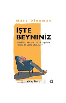 İşte Beyniniz - Marc Dingman - Orenda