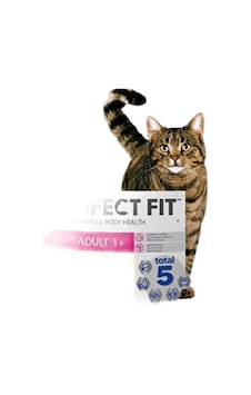 Fit Yetişkin Kedi Tavuklu Kuru Mama 750 Gr Fit Yetişkin Kedi Tavuklu Kuru Mama 750 Gr