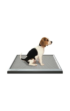 Ugodog 47 x 67 CM Seyyar Köpek Tuvaleti