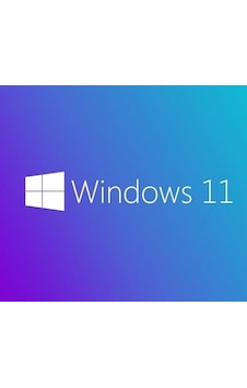 MS WINDOWS 11 PRO 64 BIT TURKCE OEM FQC-10556 MS WINDOWS 11 PRO 64 BIT TURKCE OEM FQC-10556