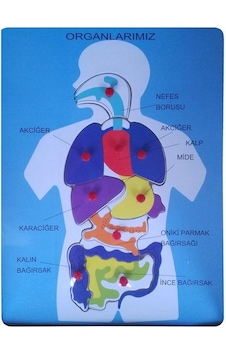 Bubu Ahşap Puzzle Organlarımız Bubu Ahşap Puzzle Organlarımız