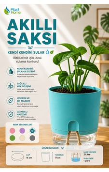 Akıllı Saksı Kendini Sulayan Saksı Otomatik Sulama Sistemli Su Hazneli Dekoratif Saksı 2 Litre Akıllı Saksı Kendini Sulayan Saksı Otomatik Sulama Sistemli Su Hazneli Dekoratif Saksı 2 Litre