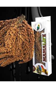 Kutulu Daldarı 120 Gr Kutulu Daldarı 120 Gr