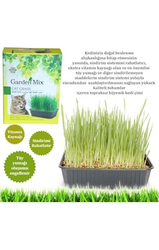 Gardenmix Kedi Çimi N708 Gardenmix Kedi Çimi N708
