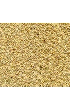 Mezbi Muhabbet Kuşu Yemi Ak Darı 5 KG Mezbi Muhabbet Kuşu Yemi Ak Darı 5 KG