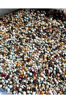 Akderepet Bezelyeli Karışık Yem 1 KG Akderepet Bezelyeli Karışık Yem 1 KG