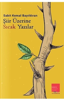 Şiir Üzerine Sıcak Yazılar - Sabit Kemal Bayıldıran - Kaos Çocuk Parkı Şiir Üzerine Sıcak Yazılar - Sabit Kemal Bayıldıran - Kaos Çocuk Parkı