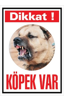 Köpek Var Kangal Köpek Var Kangal