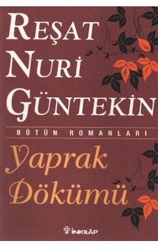 Divitkitabevi Yaprak Dökümü