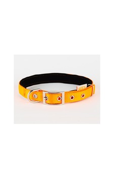 Gees Köpek Boyun Tasması 1,5x23-33 Cm Turuncu Gees Köpek Boyun Tasması 1,5x23-33 Cm Turuncu