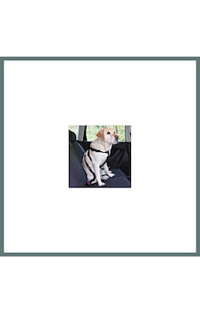 Trixie Köpek Emniyet Kemeri Medium 50-70 Cm Ventra Trixie Köpek Emniyet Kemeri Medium 50-70 Cm Ventra