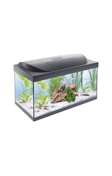 Starter 54 L Akvaryum Komple Set Gündüz Ve Gece Lambası Led Aydınlatma, İç Filtre, Isıtıcı, Balık Yemi Ve Su Hazırlama Cihazı Dahil Starter 54 L Akvaryum Komple Set Gündüz Ve Gece Lambası Led Aydınlatma, İç Filtre, Isıtıcı, Balık Yemi Ve Su Hazırlama Cihazı Dahil