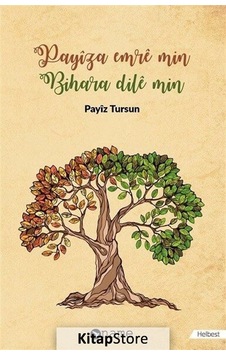 Payiza Emre Min Bilhara Dile Min - Payiz Tursun - Name Payiza Emre Min Bilhara Dile Min - Payiz Tursun - Name