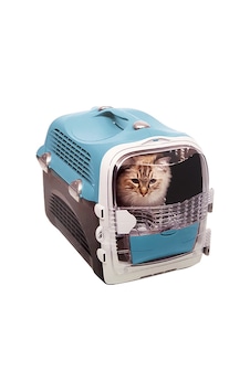 Catit Cabrio Carrier Turquoise N708 Catit Cabrio Carrier Turquoise N708