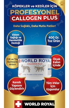 Köpek Collajen 400 Ml Toz