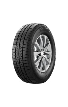 205/75r16c Rıken Cargo Speed 113/111t