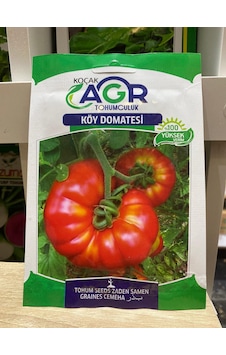 Agr Köy Domatesi Tohumu Köy Domatesi Tohumu Agr Köy Domatesi Tohumu Köy Domatesi Tohumu