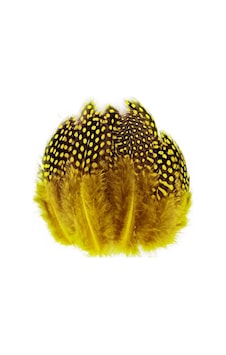 100 Pcs Decor Yellow Bırd Feather 100 Adet Puantiyeli Sarı Siyah Kuş Tüyü Dekor Sarı Kuş Tüyü Diğer 100 Pcs Decor Yellow Bırd Feather 100 Adet Puantiyeli Sarı Siyah Kuş Tüyü Dekor Sarı Kuş Tüyü Diğer