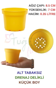 20 Adet Küçük Boy Plastik Sarı Renk Çiçek Üretim Saksısı 8.5 Cm.lik Alt Tabaksız Sarı-8.5 Cm 20 Adet Küçük Boy Plastik Sarı Renk Çiçek Üretim Saksısı 8.5 Cm.lik Alt Tabaksız Sarı-8.5 Cm