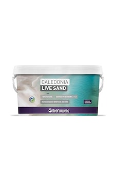 Reeflowers Caledonia Live Sand 18 Kg Purple Reeflowers Caledonia Live Sand 18 Kg Purple