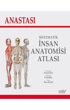 Anastasi-Sistematik İnsan Anatomisi Atlası - Carlo Tacchetti - Nobel Tıp Kitabevleri Anastasi-Sistematik İnsan Anatomisi Atlası - Carlo Tacchetti - Nobel Tıp Kitabevleri