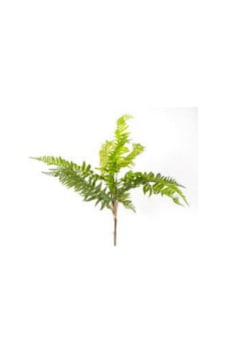 Yapay Bitki Fujer/eğrelti Otu Yeşil 75 Cm. Çok Renkli Yapay Bitki Fujer/eğrelti Otu Yeşil 75 Cm. Çok Renkli