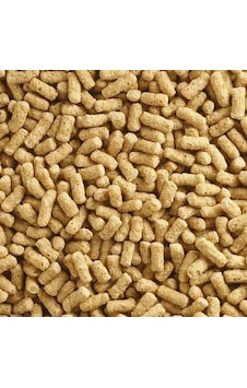 Badem Akvaryum Japon Balığı Yemi Sade 100 G Badem Akvaryum Japon Balığı Yemi Sade 100 G