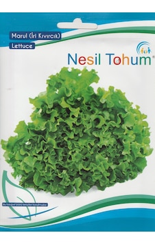 NesilMarul Tohumu İri Kıvırcık 5 GR NesilMarul Tohumu İri Kıvırcık 5 GR