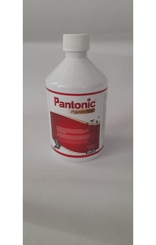 Royal Pantonic Pigeon Plus Kafes Kuşları ve Güvercin Multivitamin 500 ML Royal Pantonic Pigeon Plus Kafes Kuşları ve Güvercin Multivitamin 500 ML