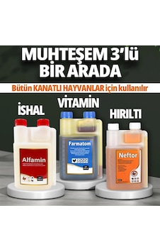 3lü Set Farmatom Vitamin-Neftor Hırıltı-Alfamin İshal 3lü Set Farmatom Vitamin-Neftor Hırıltı-Alfamin İshal