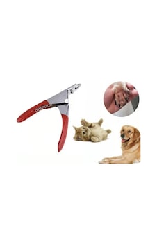 Petpretty Kedi Ve Köpek Dik Tırnak Makası Petpretty Kedi Ve Köpek Dik Tırnak Makası