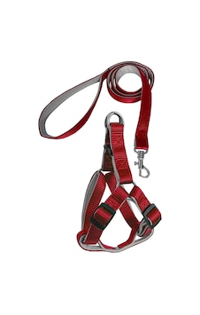 Markapet Gezdirme Kayışlı Dokuma Köpek Göğüs Tasma Seti Kırmızı 73-110 CM Kırmızı Markapet Gezdirme Kayışlı Dokuma Köpek Göğüs Tasma Seti Kırmızı 73-110 CM Kırmızı