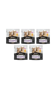 Purina Pro Plan Kitten Yavru Tavuklu Kedi Kuru Mama 400 G X 5 Adet Purina Pro Plan Kitten Yavru Tavuklu Kedi Kuru Mama 400 G X 5 Adet