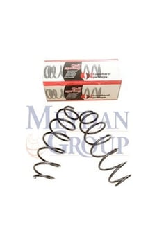 Cıtroen C3 03/09 Ön Helezon Yayı Sağ/sol 2li Set 1.4i/1.4 16v 11x142x448 Stdr