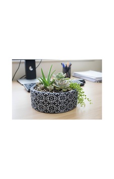 Beton Saksı Sukulent Bonzai Teraryum Arajman Çiçek Saksısı 18x7cm Bitki Hariç Siyah -gümüş Beton Saksı Sukulent Bonzai Teraryum Arajman Çiçek Saksısı 18x7cm Bitki Hariç Siyah -gümüş