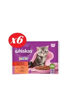 Whiskas Junior Yavru Kedi Sığırlı Tavuklu 4x85 Gr Set 6'lı Whiskas Junior Yavru Kedi Sığırlı Tavuklu 4x85 Gr Set 6'lı