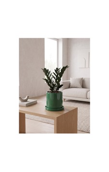 Romeo Seramik Saksı Parlak Yeşil Jade Green Tabaklı Çap:15cm Yük:15cm Romeo Seramik Saksı Parlak Yeşil Jade Green Tabaklı Çap:15cm Yük:15cm