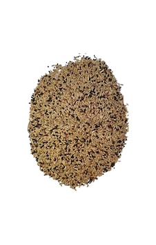 5 KG Karışık Kanarya Yemi 5 KG Karışık Kanarya Yemi
