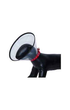 Köpek Yakalığı 20 Cm Köpek Yakalığı 20 Cm