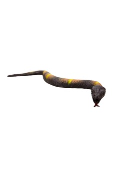Streç Gerçekçi Yılan 45cm.